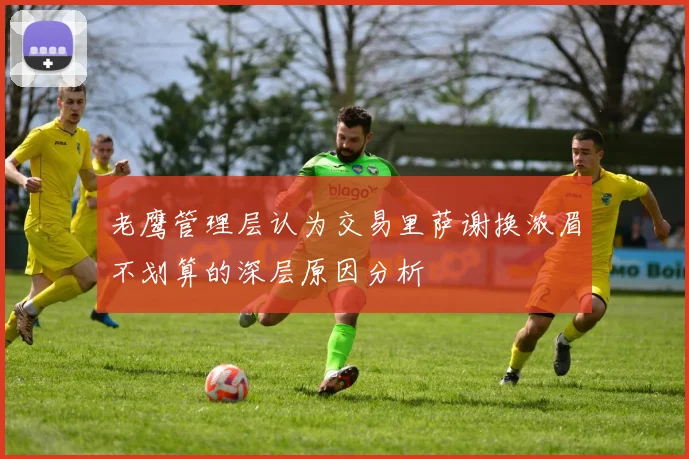 老鹰管理层认为交易里萨谢换浓眉不划算的深层原因分析