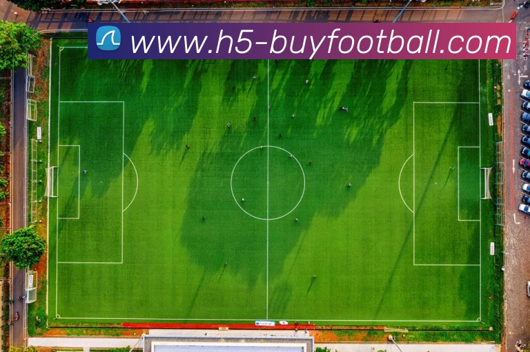 数据防护可视化